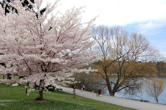 Green Lake Park