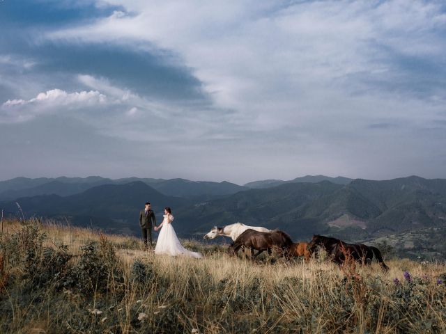 Wedding Photographer Seattle WA