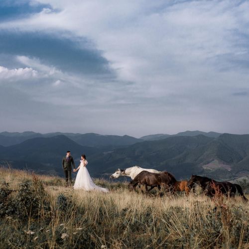 Wedding Photographer Seattle WA