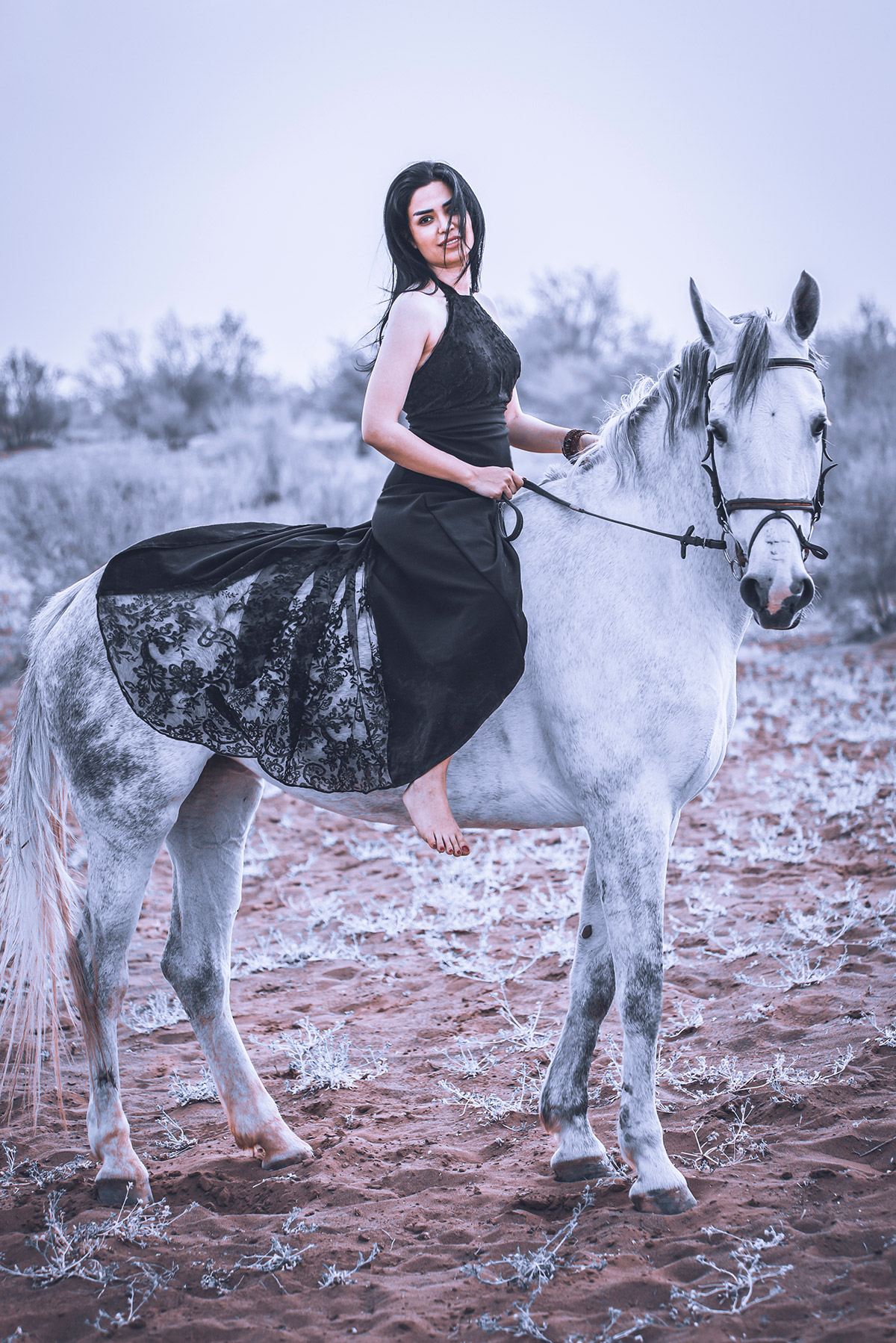 A portrait of a woman on a white horse